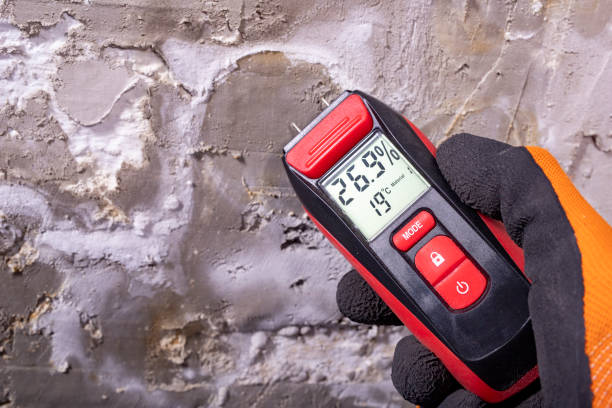 Best Mold Testing  in Bingham Farms, MI