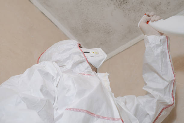 Home Mold Removal in Bingham Farms, MI