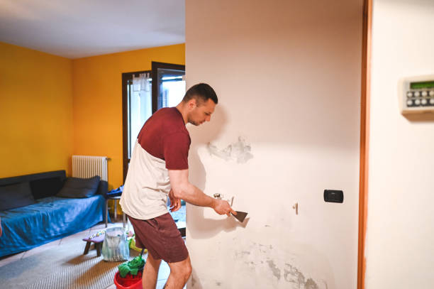 Best Attic Mold Removal  in Bingham Farms, MI