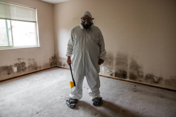 Office Mold Removal Services in Bingham Farms, MI